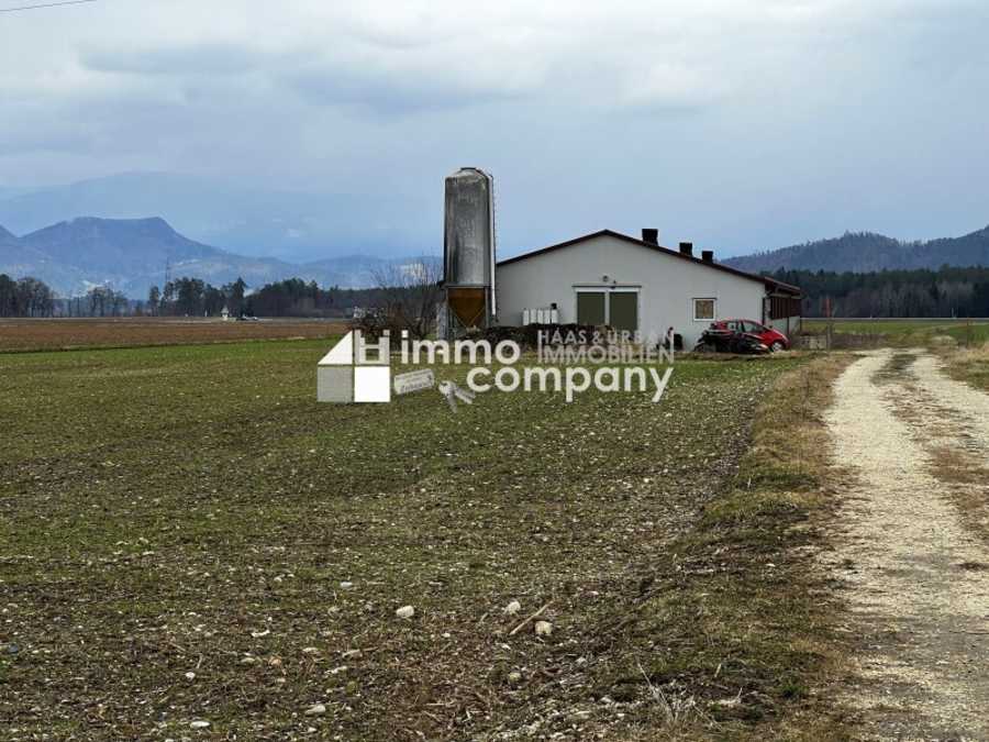 Immobilie: Landwirtschaft in 9150 Bleiburg