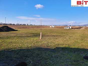 Baugrundstück Kittsee
