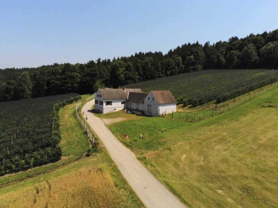 Immobilie: Bauernhof in 8200 Ungerdorf