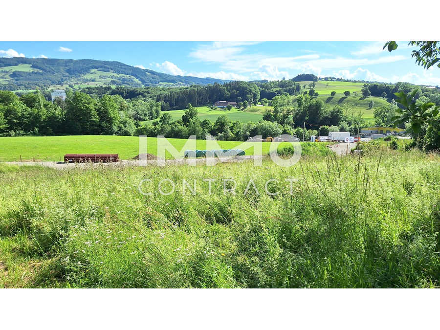 Baugrundstück in 4441 Behamberg Immobilie: Baugrundstück in 4441 Behamberg