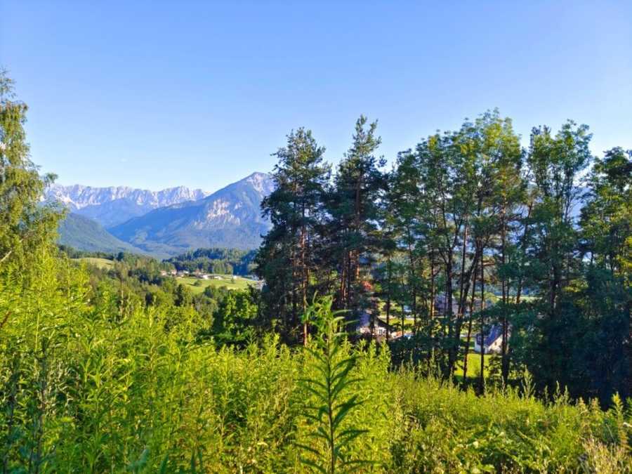 Immobilie: Baugrundstück in 9161 Maria Rain