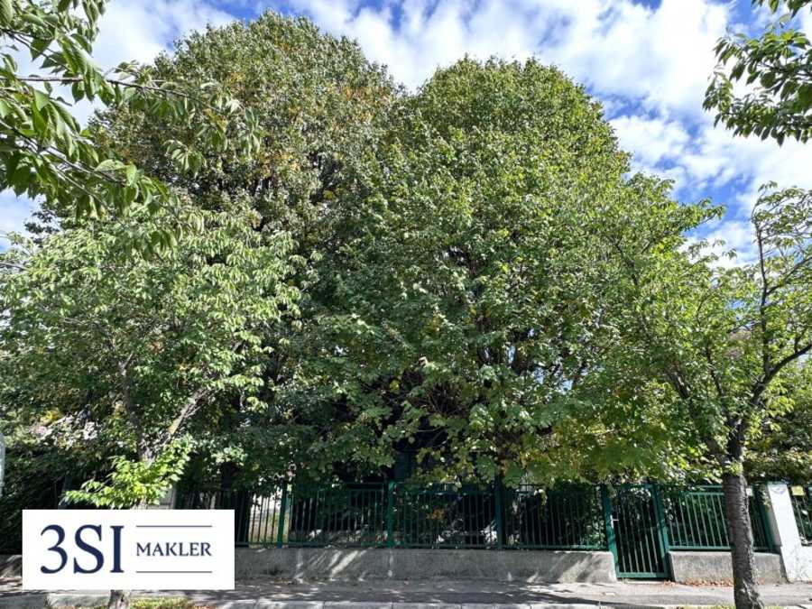 Immobilie: Baugrundstück in 1230 Wien