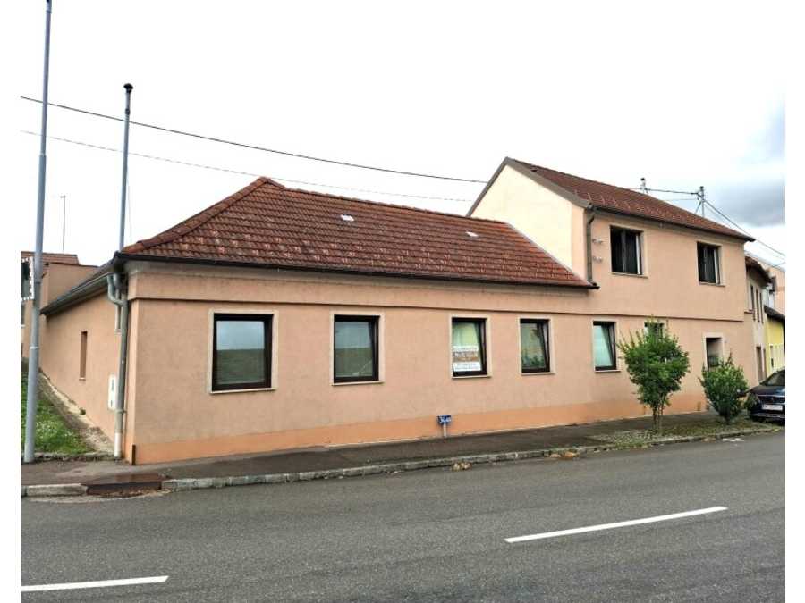 Einfamilienhaus in 2054 Haugsdorf Immobilie: Einfamilienhaus in 2054 Haugsdorf