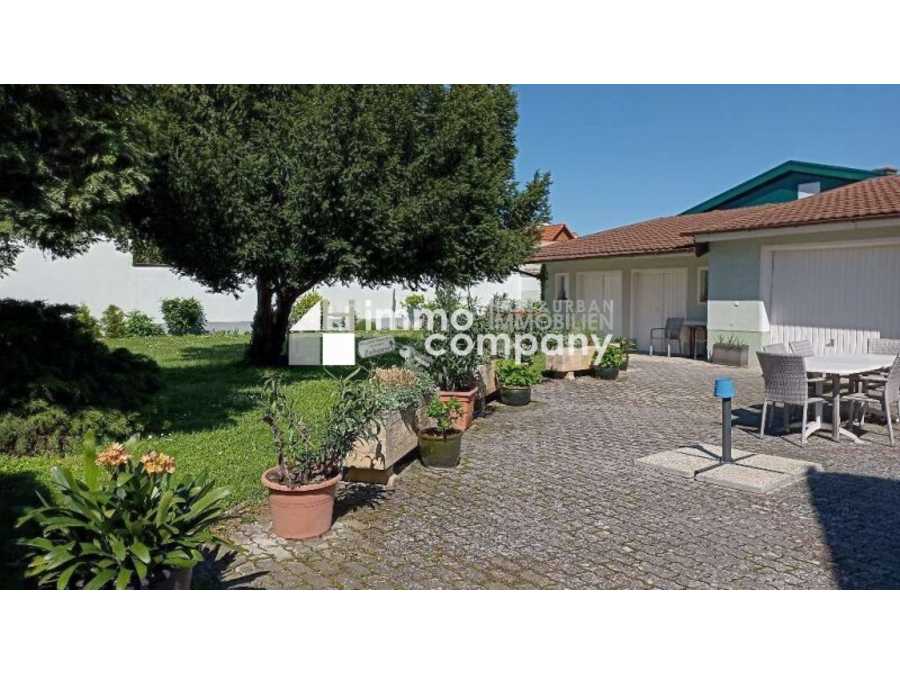 Einfamilienhaus in 7063 Oggau am Neusiedler See Immobilie: Einfamilienhaus in 7063 Oggau am Neusiedler See