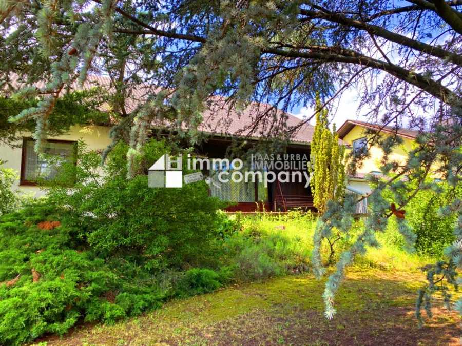 Einfamilienhaus in 7083 Purbach am Neusiedler See Immobilie: Einfamilienhaus in 7083 Purbach am Neusiedler See