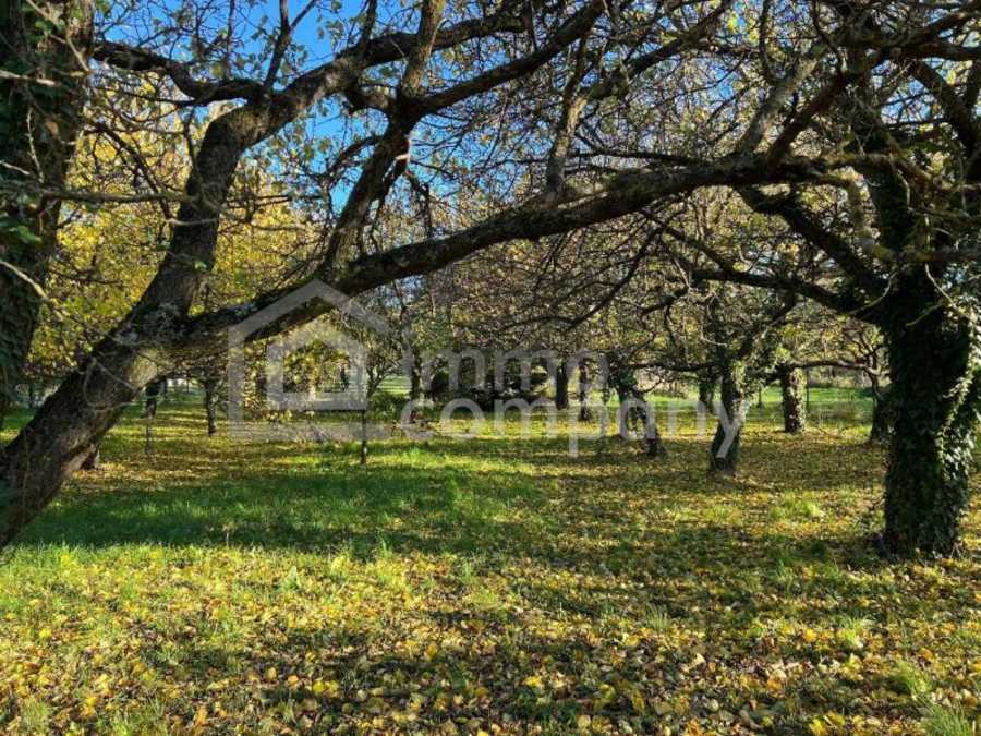 Immobilie: Grundstück in 7053 Hornstein