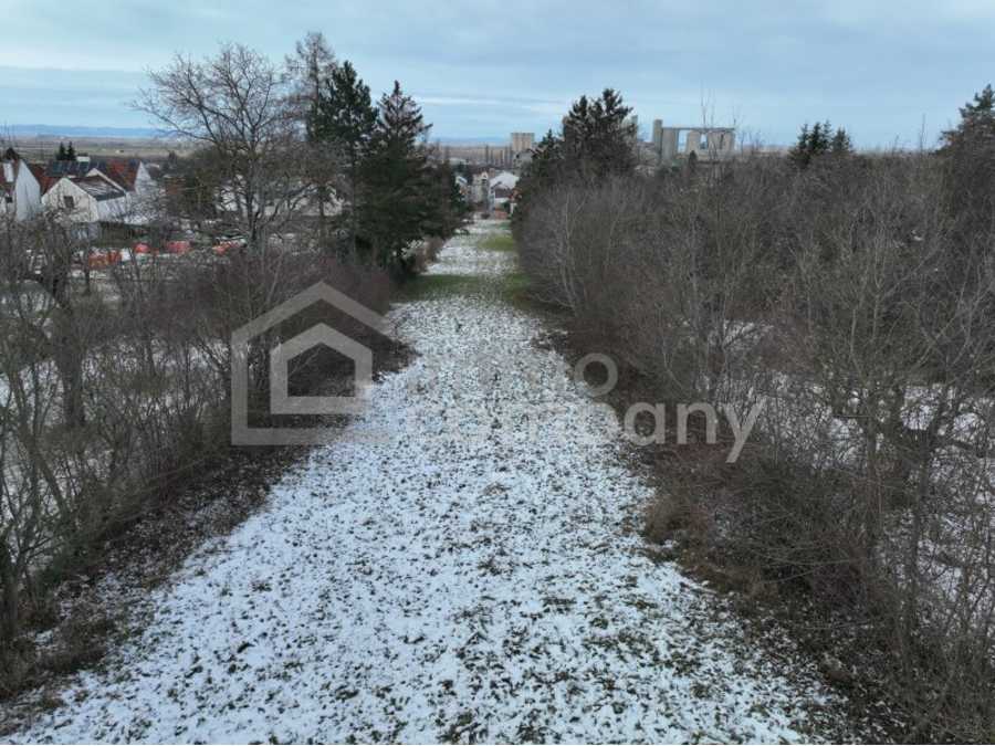 Immobilie: Grundstück in 2452 Mannersdorf am Leithagebirge