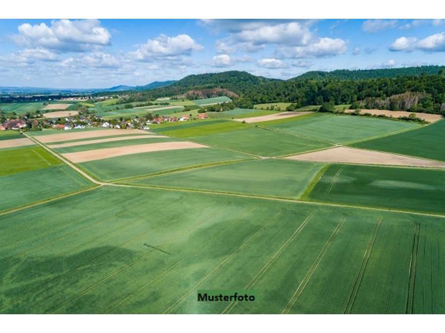 Immobilie: Halle in 2722 Muthmannsdorf  angrenzend an Dreistetten