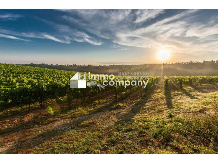 Landwirtschaft in 1100 Wien Immobilie: Landwirtschaft in 1100 Wien