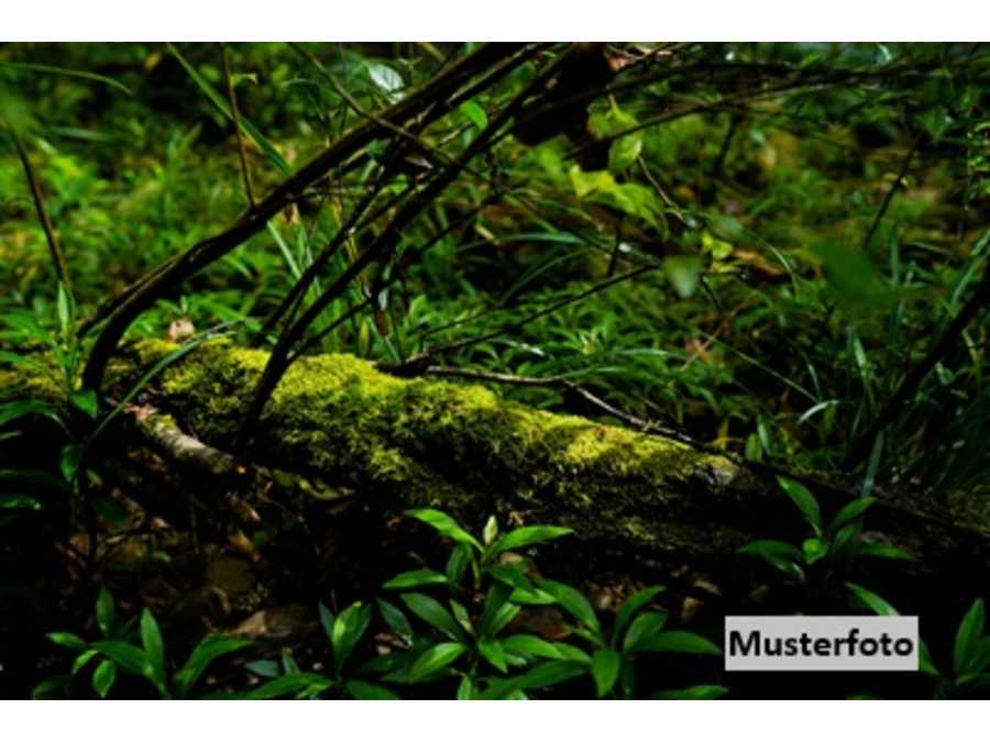 Immobilie: Landwirtschaftsgrund in 6236 Alpbach