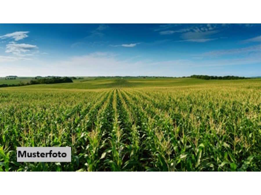 Immobilie: Landwirtschaftsgrund in 8344 Bad Gleichenberg