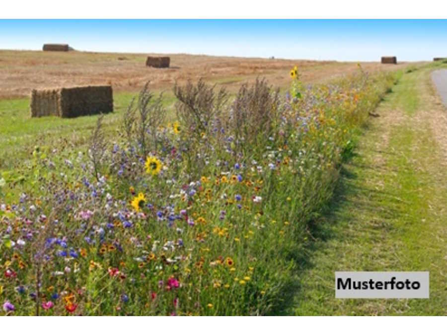 Landwirtschaftsgrund in 8600 Bruck an der Mur Immobilie: Landwirtschaftsgrund in 8600 Bruck an der Mur