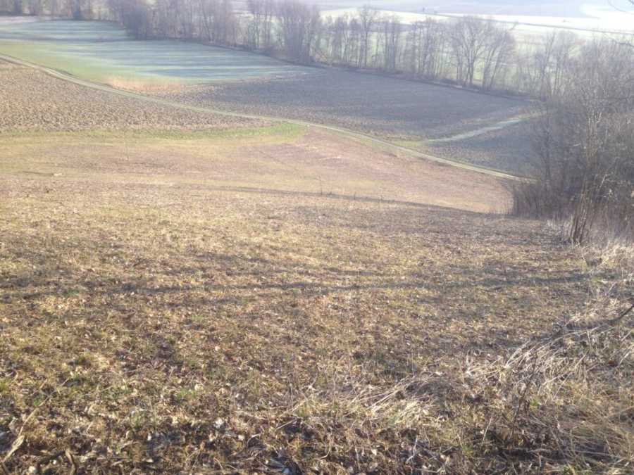 Immobilie: Landwirtschaftsgrund in 8044 Graz