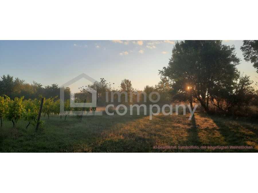 Immobilie: Landwirtschaftsgrund in 7142 Illmitz