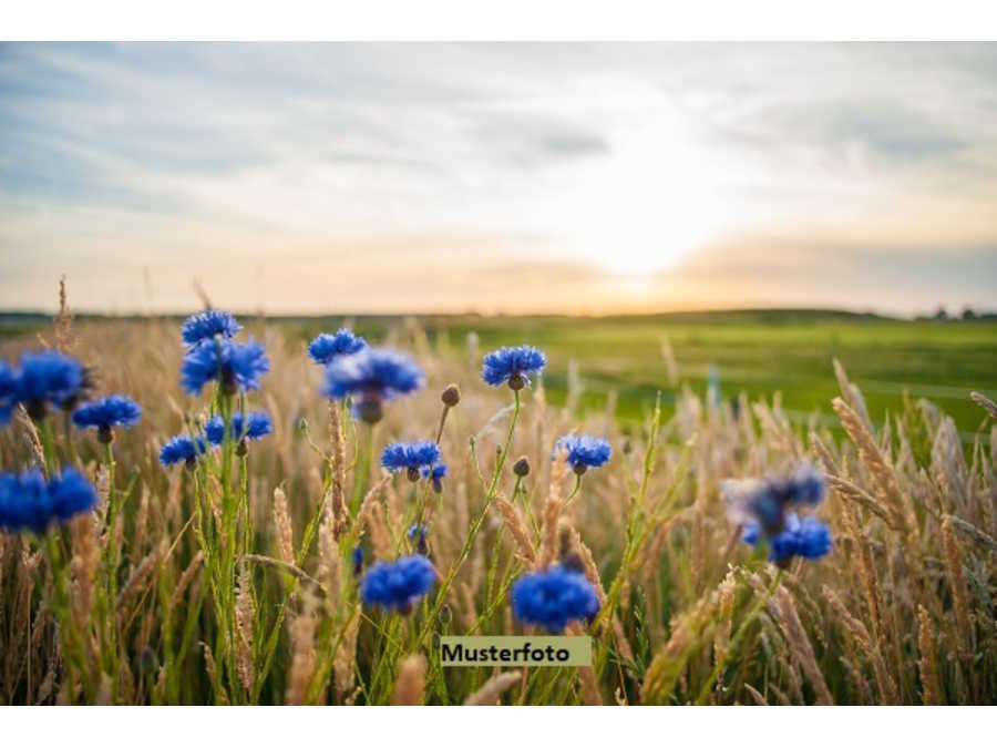 Immobilie: Landwirtschaftsgrund in 4565 Inzersdorf im Kremstal