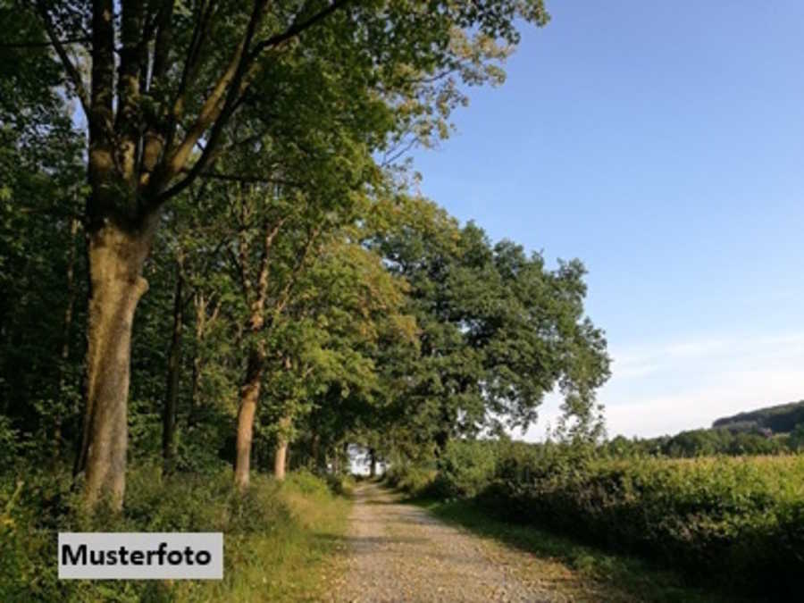 Immobilie: Landwirtschaftsgrund in 5723 Uttendorf