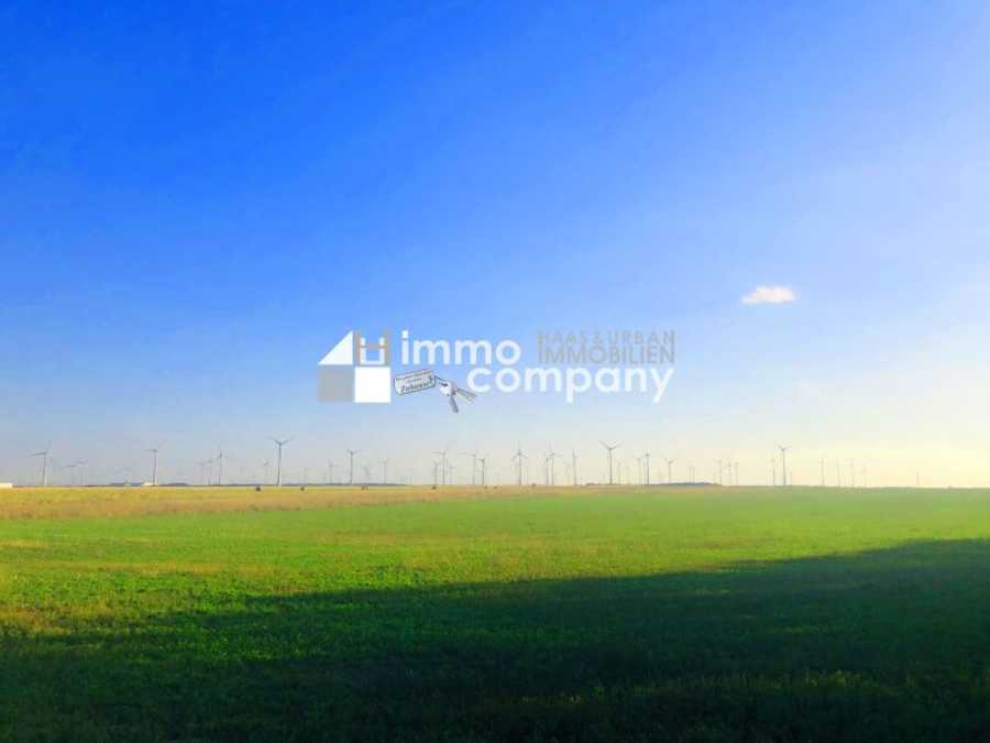 Landwirtschaftsgrund in 2424 Zurndorf Immobilie: Landwirtschaftsgrund in 2424 Zurndorf