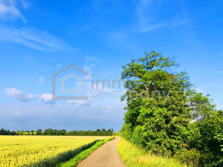 Landwirtschaftsgrund in 2424 Zurndorf Immobilie: Landwirtschaftsgrund in 2424 Zurndorf