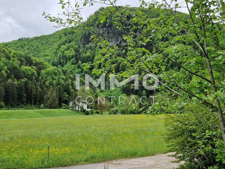 Immobilie: Mehrfamilienhaus in 3291 Kienberg