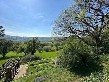 Baugrundstück Puchenau (Linz)