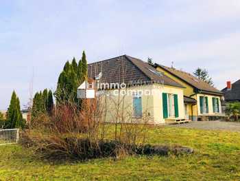 Einfamilienhaus Breitenbrunn am Neusiedler See
