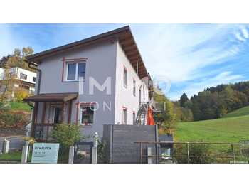 Einfamilienhaus Steinakirchen am Forst