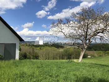 Einfamilienhaus in Weichselbaum