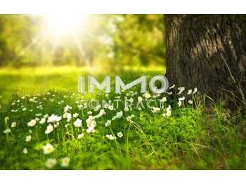 Grundstück Markt Neuhodis