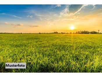 Halle Muthmannsdorf  angrenzend an Dreistetten