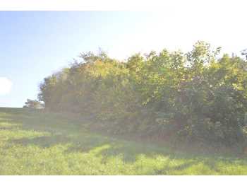 Landwirtschaft Bergwerk
