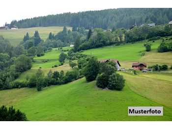 Landwirtschaft Hüttenberg