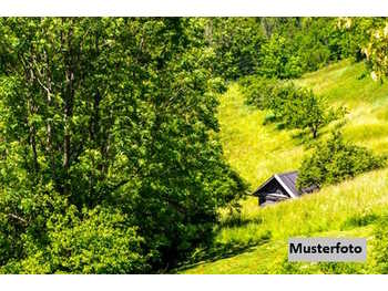 Landwirtschaftsgrund Hüttenberg