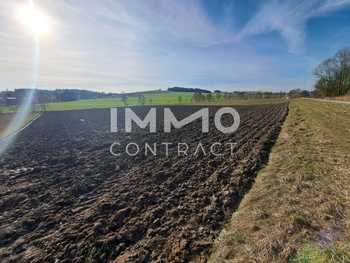 Landwirtschaftsgrund Neukirchen bei Lambach