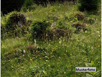 Landwirtschaftsgrund Rust