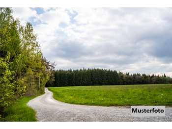 Landwirtschaftsgrund St.Gerogen am Walde