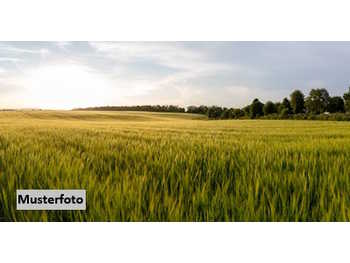 Landwirtschaftsgrund Muthmannsdorf angrenzend an Dreistetten