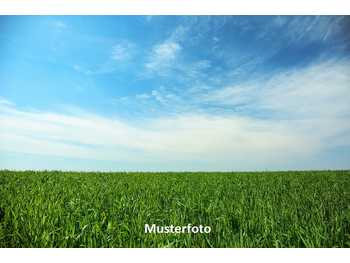 Landwirtschaftsimmobilie Erdweis
