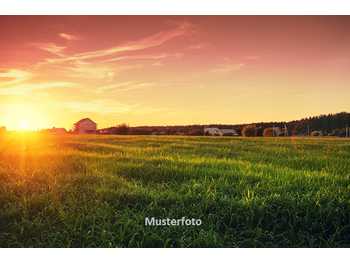 Landwirtschaftsimmobilie Wietzen