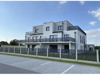 Mietwohnung Bruck an der Leitha