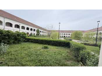 Mietwohnung Neusiedl am See