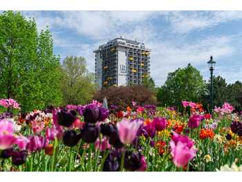 Mietwohnung Wien