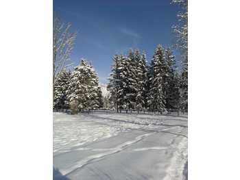 Reiterhof Zell am See